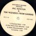 PIG NEWTON & THE WIZARDS FROM KANSAS STILL IN KANSAS Виниловая пластинка 