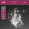 GREAT VOICES VOL.2