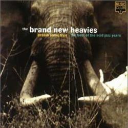 BRAND NEW HEAVIES DREAM COME TRUE Фирменный CD 