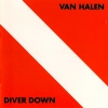 DIVER DOWN