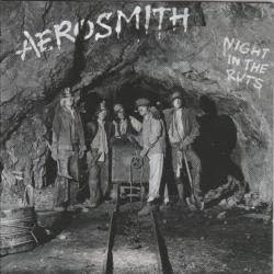 AEROSMITH NIGHT IN THE RUTS Фирменный CD 