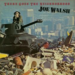 JOE WALSH There Goes The Neighborhood Виниловая пластинка 
