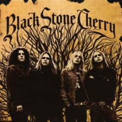 Black Stone Cherry Black Stone Cherry Фирменный CD 