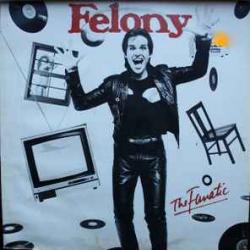 FELONY The Fanatic Виниловая пластинка 