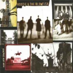 HOOTIE & THE BLOWFISH CRACKED REAR VIEW Фирменный CD 
