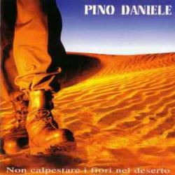 PINO DANIELE Non Calpestare I Fiori Nel Deserto Фирменный CD 
