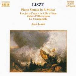 LISZT Piano Sonata In B Minor / Les Jeux D'Eau À La Villa D'Este / Vallée D'Obermann / La Campanella Фирменный CD 