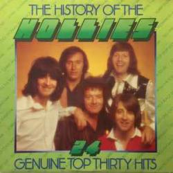 HOLLIES The History Of The Hollies - 24 Genuine Top Thirty Hits Виниловая пластинка 