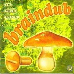 Braindub In Your Brain Фирменный CD 