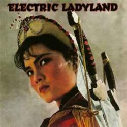 VARIOUS Electric Ladyland (Electric Soul For Rebels) Фирменный CD 