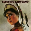 Electric Ladyland (Electric Soul For Rebels)