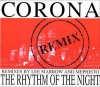 THE RHYTHM OF THE NIGHT (REMIX)