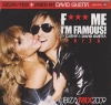 F*** Me I'm Famous - Ibiza Mix 2009