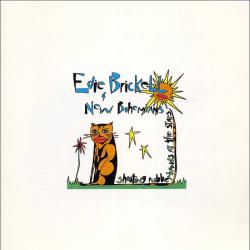 EDIE BRICKELL & NEW BOHEMIANS SHOOTING RUBBERBANDS AT THE STARS Фирменный CD 