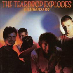 The Teardrop Explodes Kilimanjaro Фирменный CD 