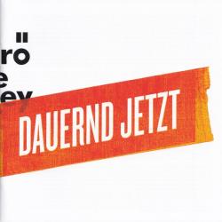 Herbert Grönemeyer DAUERND JETZT Фирменный CD 