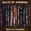 SPIRIT OF GONDWANA