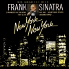 New York New York: His Greatest Hits