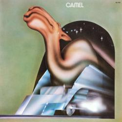 CAMEL CAMEL Виниловая пластинка 