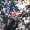 OBSCURED BY CLOUDS