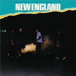 NEW ENGLAND WALKING WILD Виниловая пластинка 