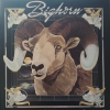 BIGHORN