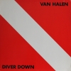 Diver Down