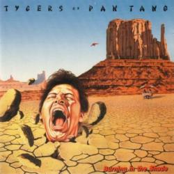 TYGERS OF PAN TANG Burning In The Shade Виниловая пластинка 