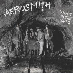 AEROSMITH NIGHT IN THE RUTS Фирменный CD 