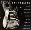 A Tribute To Stevie Ray Vaughan