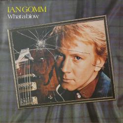 IAN GOMM WHAT A BLOW Виниловая пластинка IAN GOMM WHAT A BLOW Виниловая пластинка