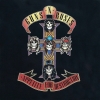 Appetite For Destruction