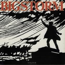 BIGSTORM LIVING IN EXILE Виниловая пластинка 