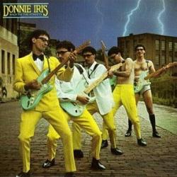 DONNIE IRIS BACK ON THE STREETS Виниловая пластинка 