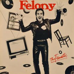 FELONY THE FANATIC Виниловая пластинка 