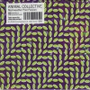 Merriweather Post Pavilion