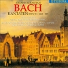 Cantatas BWV 51 - 202 - 199