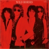 The First Album