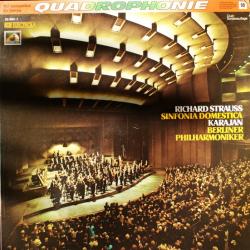 RICHARD STRAUSS Sinfonia Domestica Op.53 Виниловая пластинка 