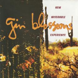 Gin Blossoms New Miserable Experience Фирменный CD 