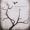 The Airborne Toxic Event