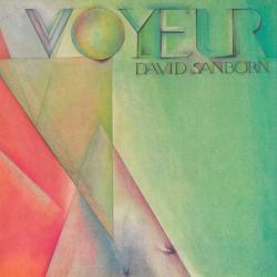 DAVID SANBORN VOYEUR Виниловая пластинка 