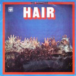 AQUARIUS HAIR Виниловая пластинка 
