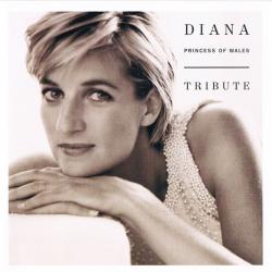 VARIOUS DIANA (PRINCESS OF WALES) TRIBUTE Фирменный CD 