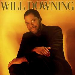 WILL DOWNING WILL DOWNING Виниловая пластинка 