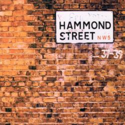 VARIOUS Hammond Street Фирменный CD 