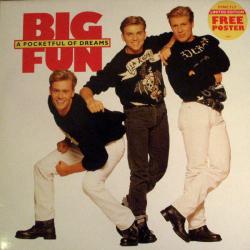 Big Fun A Pocketful Of Dreams Виниловая пластинка 