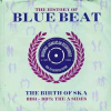 HISTORY OF BLUE BEAT
