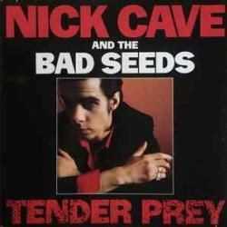NICK CAVE AND THE BAD SEEDS TENDER PREY Виниловая пластинка NICK CAVE AND THE BAD SEEDS TENDER PREY Виниловая пластинка