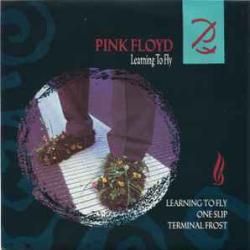 PINK FLOYD LEARNING TO FLY Виниловая пластинка 